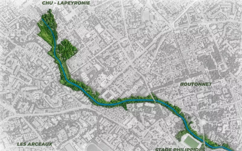 Coulée verte Verdanson Montpellier